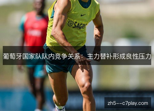 葡萄牙国家队队内竞争关系：主力替补形成良性压力